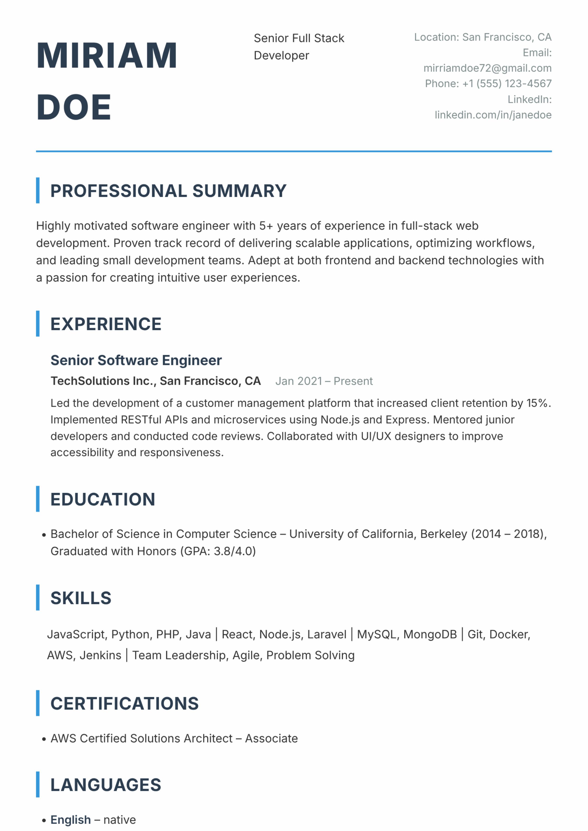 Classic Professional Template Preview