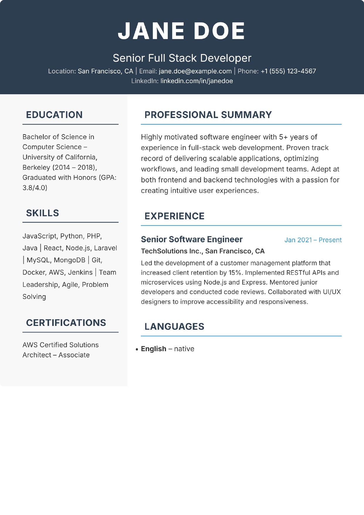 Clean & Elegant Cv Template Preview